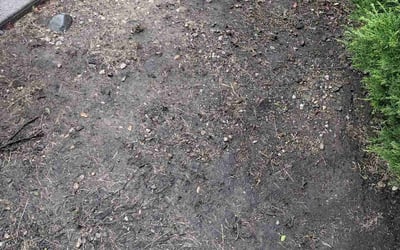 Photo of Brandon C.'s yard after getting landscaping in Hebron, OH