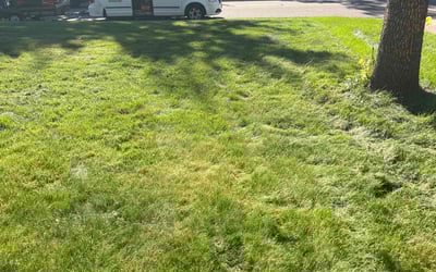 Photo of Lance R.'s yard after getting landscaping in Becker, MN