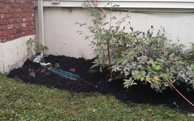 Photo of Michelle F.'s yard after getting landscaping in Lone Jack, MO