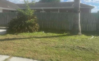 Photo of Kelly M.'s yard after getting landscaping in Chalmette, LA