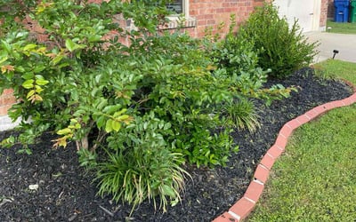 Photo of Alexis G.'s yard after getting landscaping in Fate, TX