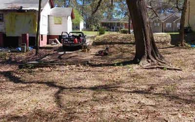 Photo of Adam L.'s yard after getting landscaping in Monticello, GA