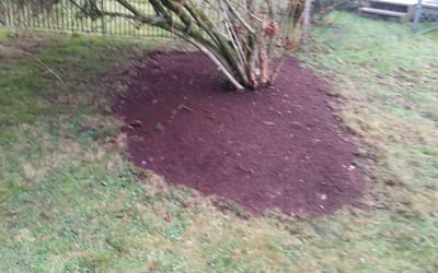 Photo of Laura H.'s yard after getting landscaping in Ravensdale, WA