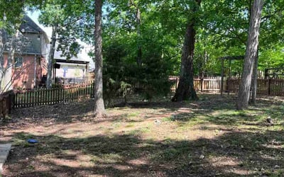 Photo of Melissa D.'s yard after getting landscaping in Antioch, TN