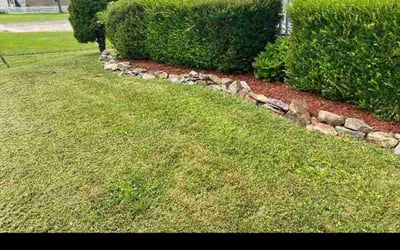 Photo of Mark A.'s yard after getting landscaping in Petersburg, KY