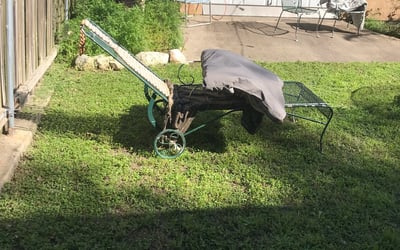 Photo of Lauren S.'s yard after getting landscaping in Wimberley, TX
