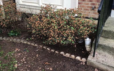 Photo of Jason R.'s yard after getting landscaping in Charles Town, WV