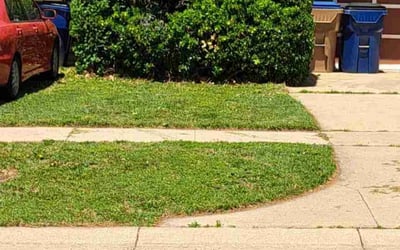 Photo of Cynthia S.'s yard after getting landscaping in Valley Center, KS