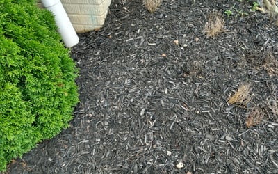 Photo of Kim B.'s yard after getting landscaping in Brookpark, OH