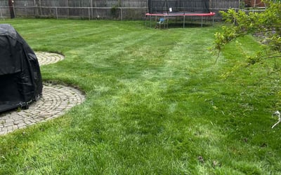 Photo of Carolyn M.'s yard after getting landscaping in Warren, MI