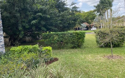 Photo of Brian H.'s yard after getting landscaping in Crystal Beach, FL