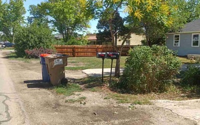 Photo of Laura D.'s yard after getting landscaping in Black Hawk, CO