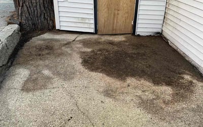 Photo of Eric W.'s yard after getting landscaping in Jenison, MI