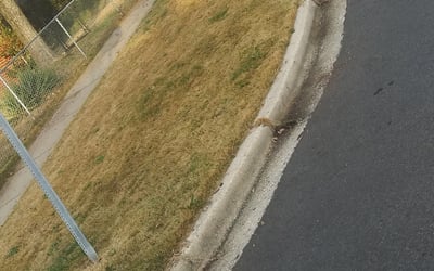 Photo of Rashell O.'s yard after getting landscaping in Boyce, VA