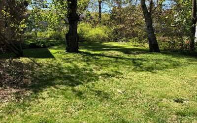 Photo of Jeffrey M.'s yard after getting landscaping in Farmington, CT