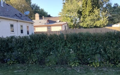 Photo of Kevin G.'s yard after getting landscaping in Albertville, MN