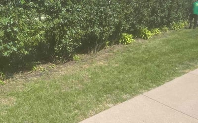Photo of Kevin G.'s yard after getting landscaping in Chanhassen, MN