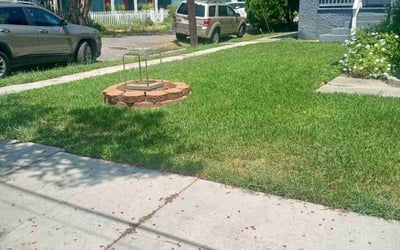 Photo of Rebecca F.'s yard after getting landscaping in Lacombe, LA