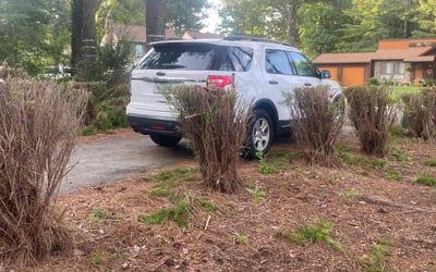Photo of Andrew L.'s yard after getting landscaping in Dewitt, VA
