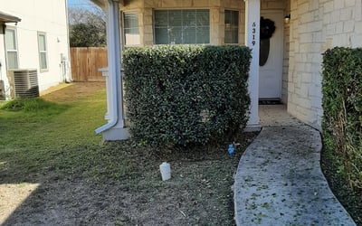 Photo of Erin M.'s yard after getting landscaping in Charlotte, TX