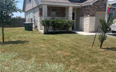 Photo of Bobbie M.'s yard after getting tree care in Boerne, TX