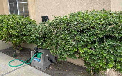 Photo of Doris H.'s yard after getting landscaping in Tehachapi, CA