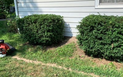 Photo of Paul S.'s yard after getting landscaping in Weston, MO