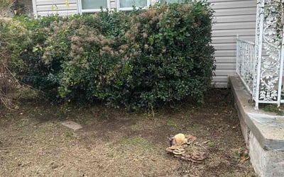 Photo of Amanda H.'s yard after getting landscaping in Chickasha, OK