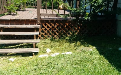 Photo of Paul M.'s yard after getting landscaping in Mc Queeney, TX