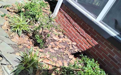 Photo of Matthew H.'s yard after getting landscaping in Battery Park, VA