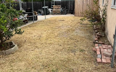 Photo of Patricia C.'s yard after getting landscaping in Warner Springs, CA