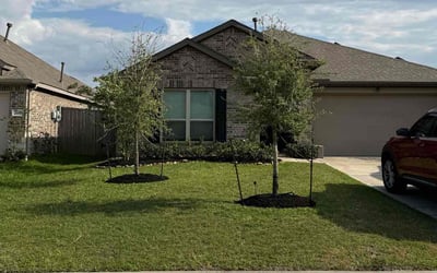 Photo of Chris C.'s yard after getting landscaping in Katy, TX