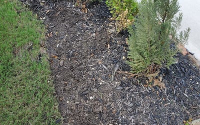 Photo of Paul B.'s yard after getting landscaping in Hankamer, TX