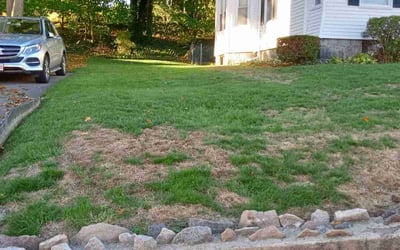 Photo of Robert S.'s yard after getting landscaping in Needham Heights, MA