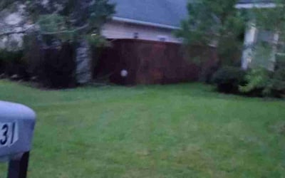 Photo of Derek C.'s yard after getting landscaping in Edisto Island, SC