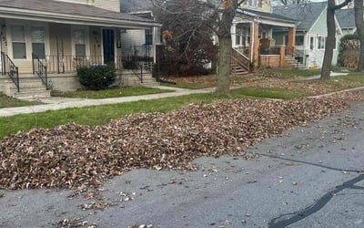 Photo of Julia S.'s yard after getting landscaping in Utica, MI