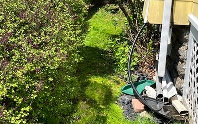 Photo of Tom R.'s yard after getting landscaping in Sudbury, MA