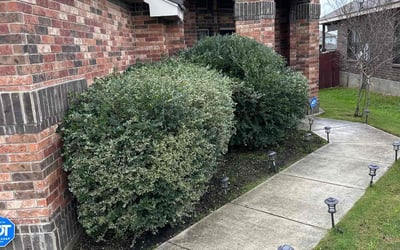 Photo of Michael A.'s yard after getting landscaping in Kingsbury, TX