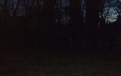 Photo of Dan M.'s yard after getting landscaping in Chalfont, PA