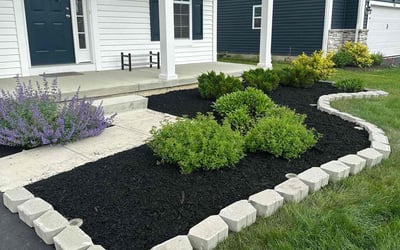 Photo of Jennifer C.'s yard after getting tree care in Columbus, OH