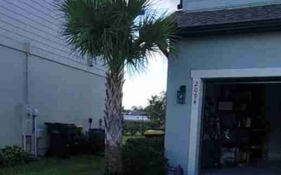 Photo of Aaron S.'s yard after getting landscaping in Bradley, FL