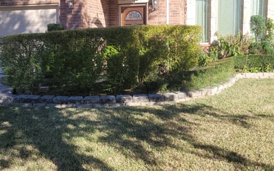Photo of Yanette F.'s yard after getting tree care in Channelview, TX