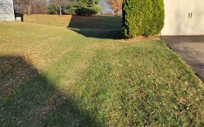 Photo of Dieudonne A.'s yard after getting landscaping in Havre De Grace, MD