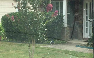 Photo of Vicki C.'s yard after getting tree care in Duluth, GA
