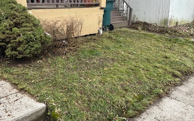Photo of Cindy E.'s yard after getting landscaping in Victor, NY