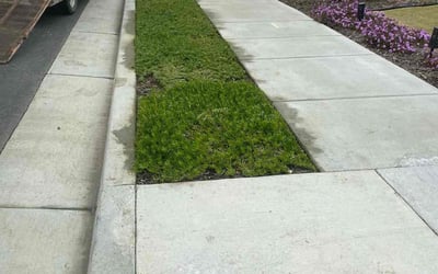 Photo of Jamillah O.'s yard after getting landscaping in Tehachapi, CA