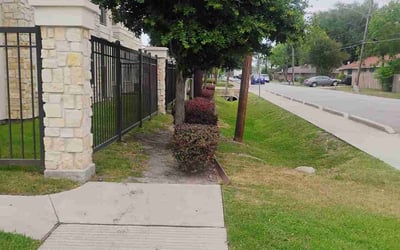Photo of Kaitlin W.'s yard after getting tree care in Montgomery, TX