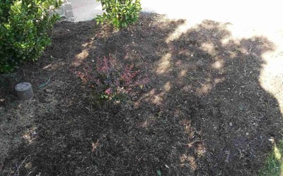 Photo of Kim B.'s yard after getting landscaping in Weatherford, TX