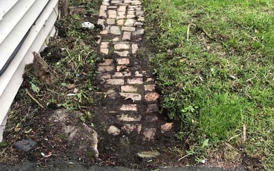 Photo of Kimberly P.'s yard after getting landscaping in Wilkes Barre, PA