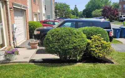 Photo of Paul P.'s yard after getting landscaping in Salem, NJ